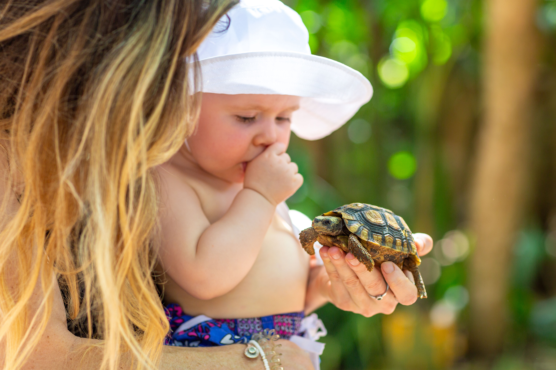 The SAFARI Company Final Choice Family Photoshoot Poppy ()