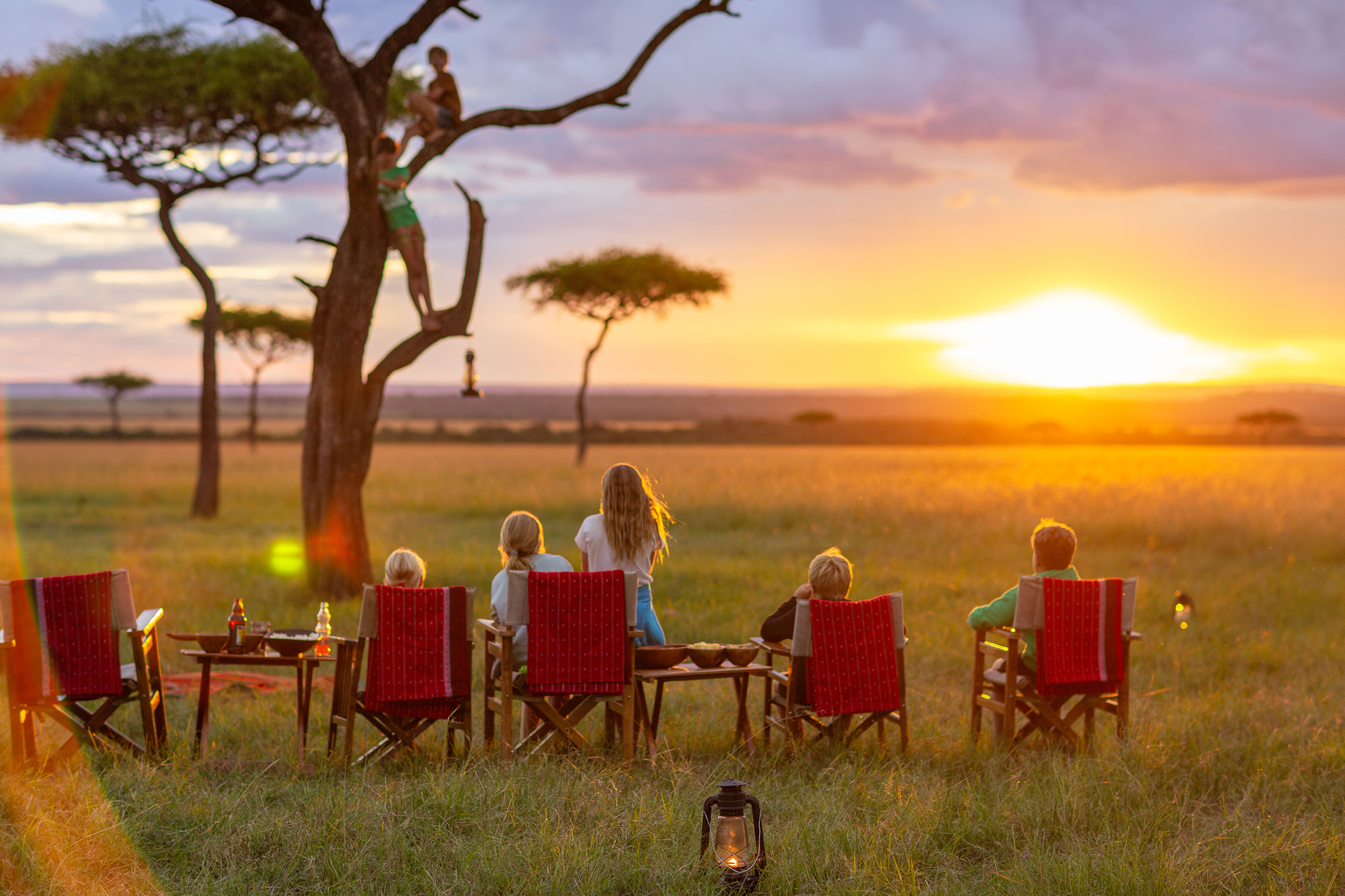 The SAFARI Company HitW Final Choice Family Photoshoot Poppy ( ()