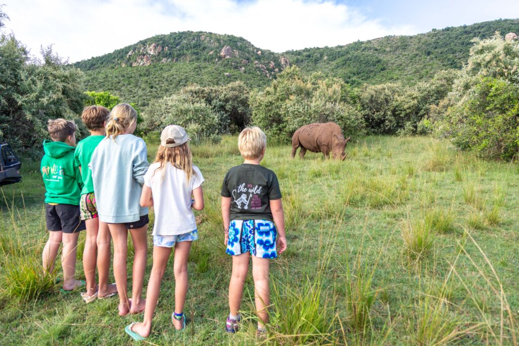 Children observing a rhino whilst on a walking safari