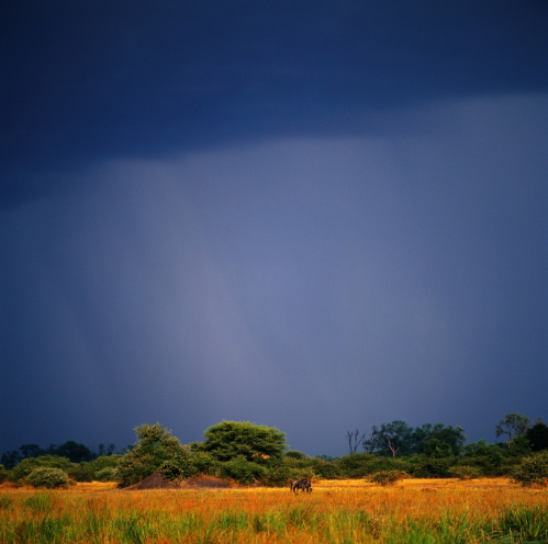 Rain across the Masai mara plains