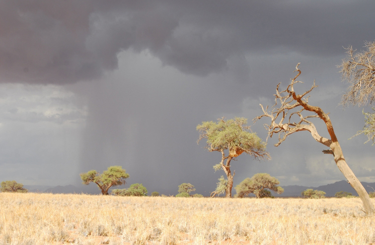 Rainy season on safari